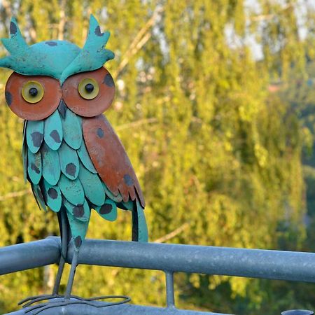 Ferienwohnung Uhuherz Neustadt an der Weinstraße Zewnętrze zdjęcie